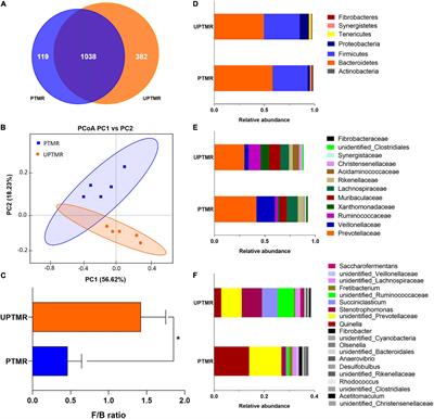 Diet Type Impacts Production Performance of Fattening Lambs by Manipulating the Ruminal Microbiota and Metabolome